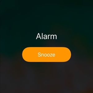 Meet your Posher, Kevin